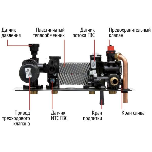 Cazan pe gaz Biasi RinINOVA COND PLUS M260V.25S 6047090 foto